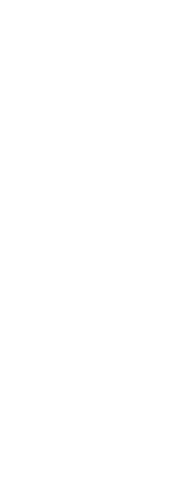 Sketch of ALINE Insoles.